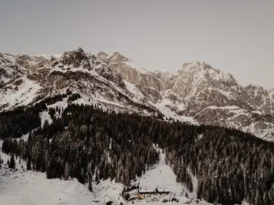 20241212-Birgkar-23