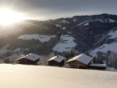 Bergbauernhof Brandgut (2)