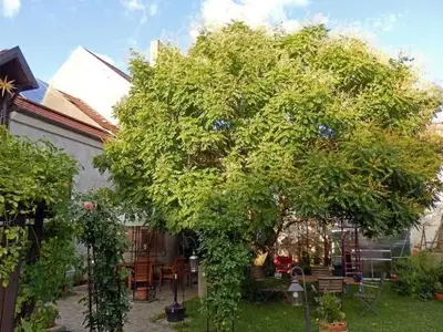 Ferienwohnung für 1 Person (17 m²) in Mühlberg (Elbe) 6/10
