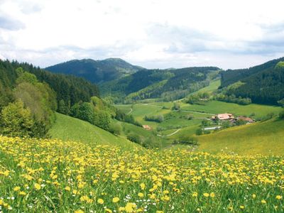 Blick vom Höhenweg