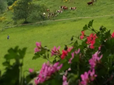 Ferienwohnung Hof - Balkonblick