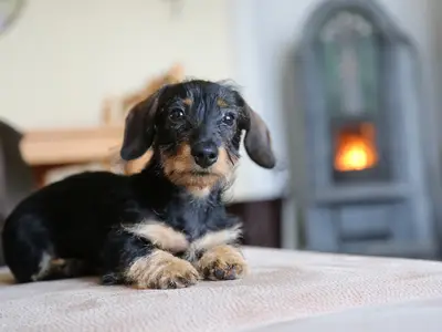 Ferienwohnung für 6 Personen (75 m²) in Mühlhausen/Thüringen 6/10