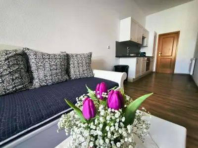 Ferienwohnung für 3 Personen (38 m²) in Mühlhausen/Thüringen 4/10