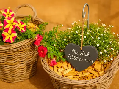 Ferienwohnung für 4 Personen (44 m²) in Muhr Am See 8/10