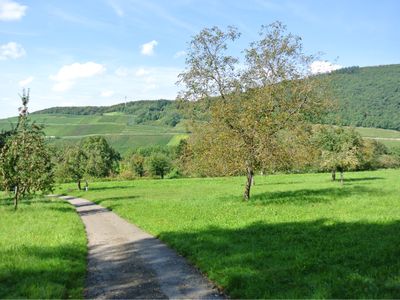 in den Obstwiesen