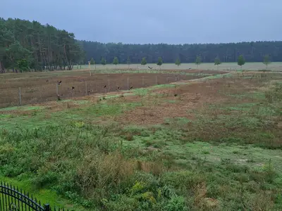 Ferienwohnung für 4 Personen (50 m²) in Müllrose 3/10