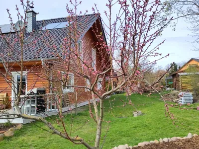 Ferienwohnung für 2 Personen (70 m²) in Müncheberg 1/10