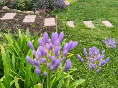 Ferienwohnung für 2 Personen (70 m²) in Müncheberg 2/10