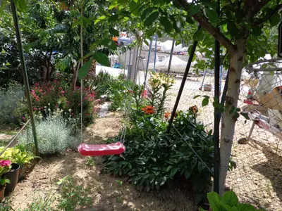 Ferienwohnung für 5 Personen (52 m²) in Mundanije 4/10