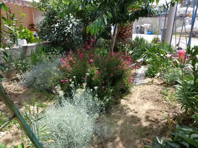 Ferienwohnung für 5 Personen (52 m²) in Mundanije 7/10