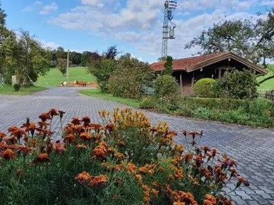 Ferienwohnung für 4 Personen (50 m²) in Münsing 7/10