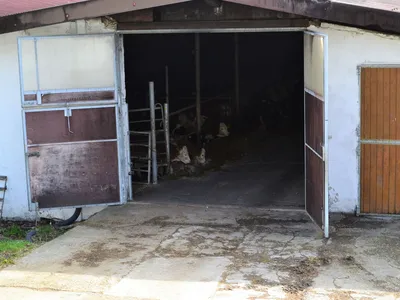 Ferienwohnung für 4 Personen (80 m²) in Münsingen 6/10