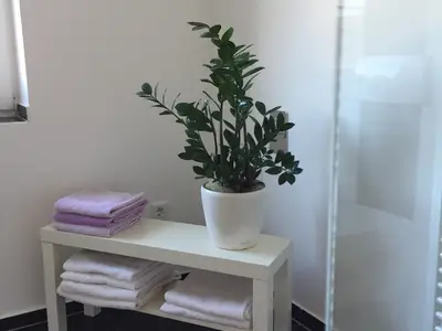 Ferienwohnung für 3 Personen (40 m²) in Roxel 7/10