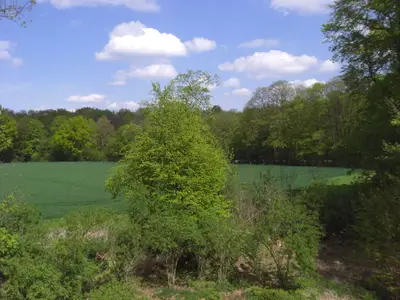 Ferienwohnung für 2 Personen (54 m²) in Münster 2/9