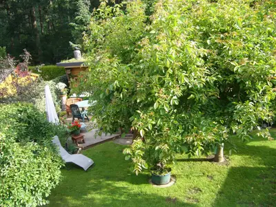 Garten 3