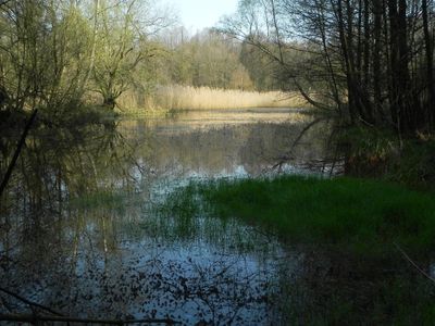 Hahnenmoorsee Kleine Örtze