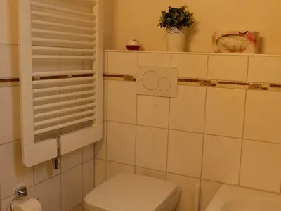 Ferienwohnung für 4 Personen (52 m²) in Münstermaifeld 10/10