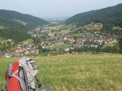 Ferienwohnung für 3 Personen (65 m²) in Münstertal 8/10