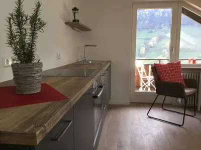 Ferienwohnung für 4 Personen (55 m²) in Münstertal 7/10