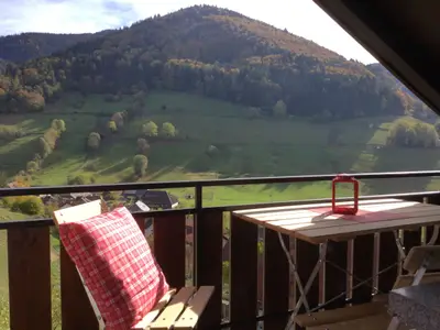 Ferienwohnung für 4 Personen (55 m²) in Münstertal 9/10