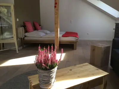 Ferienwohnung für 3 Personen (45 m²) in Münstertal 5/10