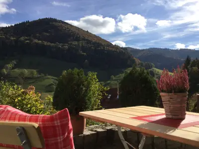 Ferienwohnung für 4 Personen (55 m²) in Münstertal 9/10