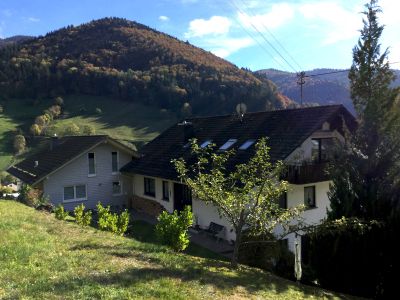 Ferienwohnung für 4 Personen (55 m²) in Münstertal 1/10