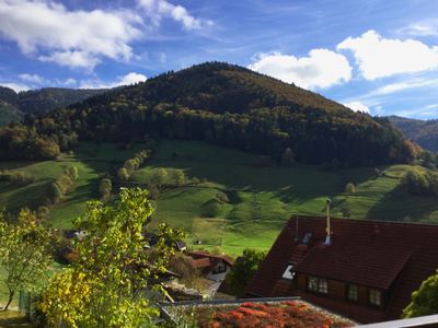 Ferienwohnung für 4 Personen (55 m²) in Münstertal 5/10