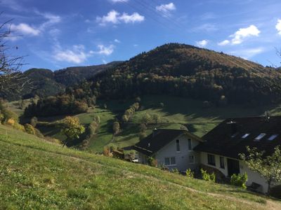 Ferienwohnung für 4 Personen (55 m²) in Münstertal 6/10