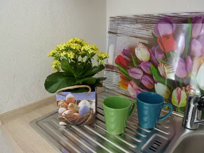 Ferienwohnung für 2 Personen (42 m²) in Münstertal 10/10