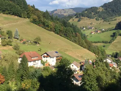 Ferienwohnung für 4 Personen (55 m²) in Münstertal 1/10