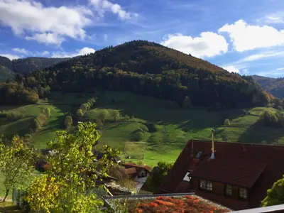 Ferienwohnung für 4 Personen (55 m²) in Münstertal 1/10