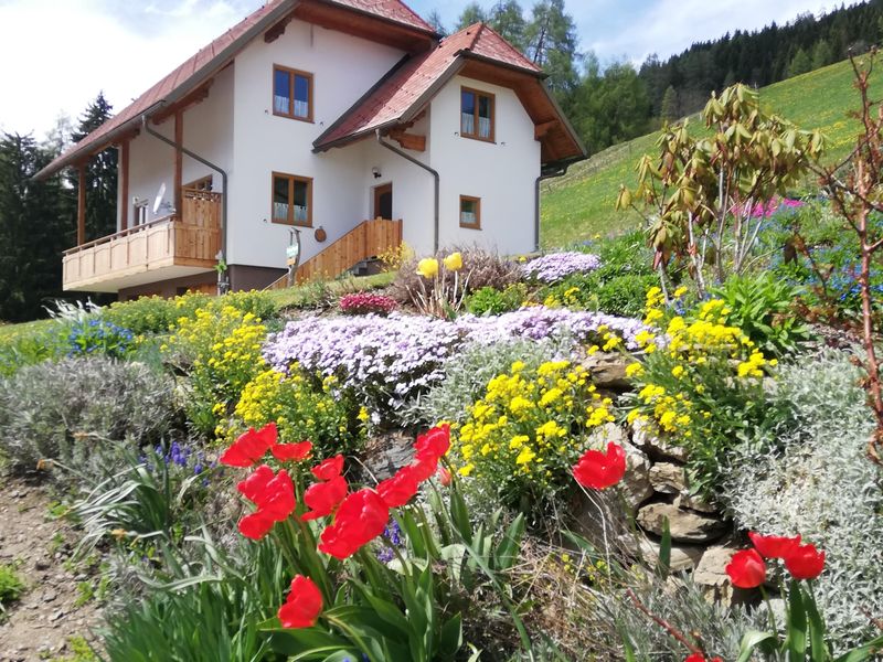 18410116-Ferienwohnung-5-Murau (Steiermark)-800x600-0