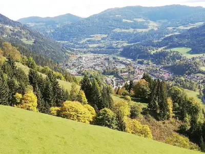 Blick auf Murau
