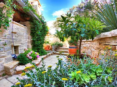 GardenSummer