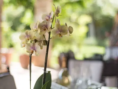 Ferienwohnung für 8 Personen (100 m²) in Murter 9/10