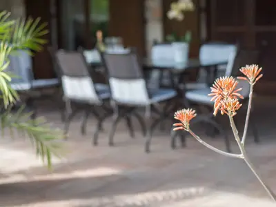 Ferienwohnung für 4 Personen (50 m²) in Murter 9/10