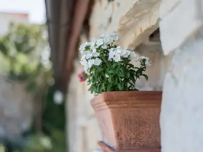 Ferienwohnung für 6 Personen (50 m²) in Murter 6/10
