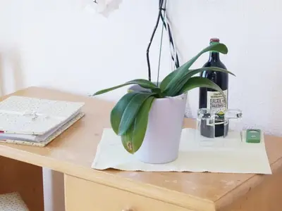 Ferienwohnung für 4 Personen (36 m²) in Mutters 7/10