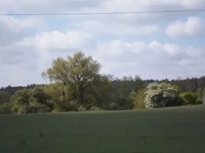 Ferienwohnung für 2 Personen (35 m²) in Nahrendorf 8/10