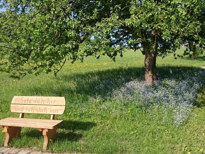 Ferienwohnung für 3 Personen in Naila 7/10