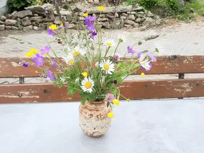 Ferienwohnung für 3 Personen in Naila 8/8