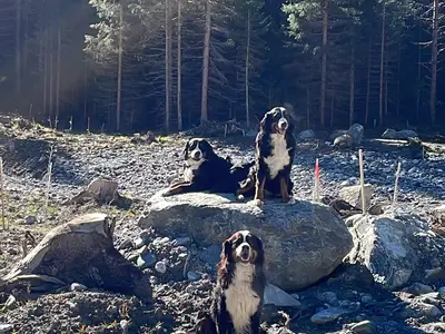 Ferienwohnung für 4 Personen (65 m²) in Nauders 10/10