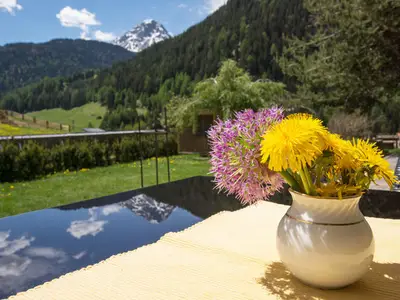Ferienwohnung für 4 Personen (50 m²) in Nauders 10/10