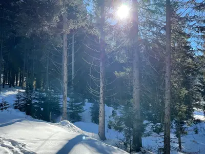 Ferienwohnung für 6 Personen (109 m²) in Nauders 4/10