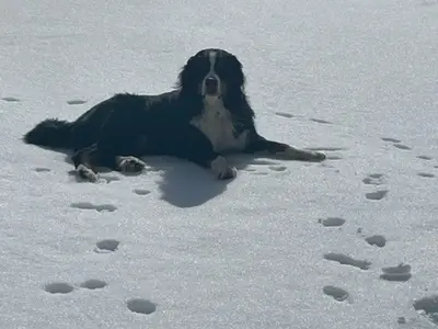 Ferienwohnung für 6 Personen (109 m²) in Nauders 7/10