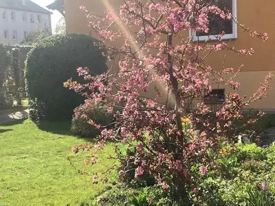 Ferienwohnung für 2 Personen (33 m²) in Naumburg 4/10
