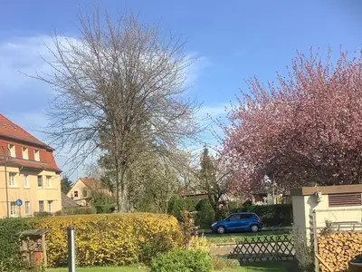 Ferienwohnung für 2 Personen (33 m²) in Naumburg 5/10
