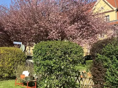 Ferienwohnung für 2 Personen (33 m²) in Naumburg 6/10