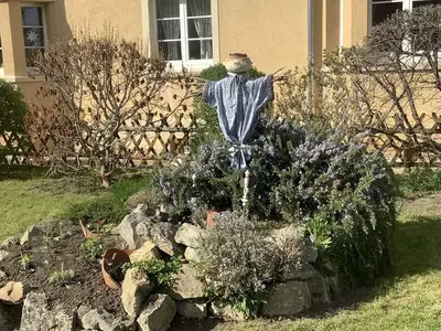 Ferienwohnung für 2 Personen (33 m²) in Naumburg 7/10